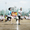 05-3nenrelay-2