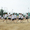 16-1nerelay-1